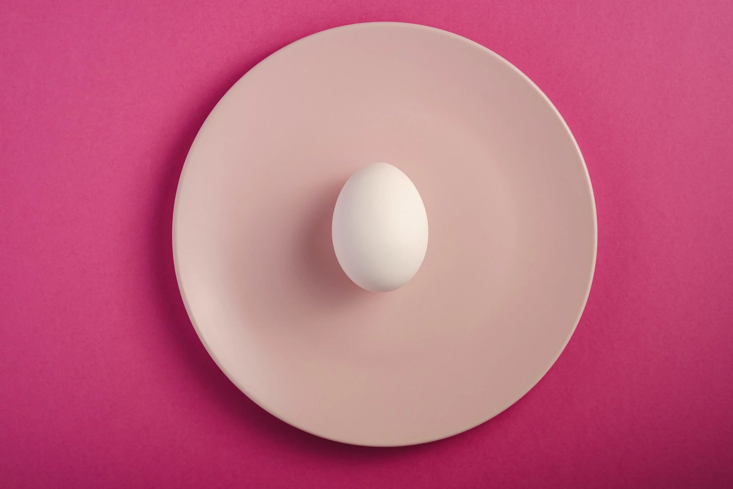 Single egg on pink plate